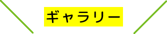 ギャラリー